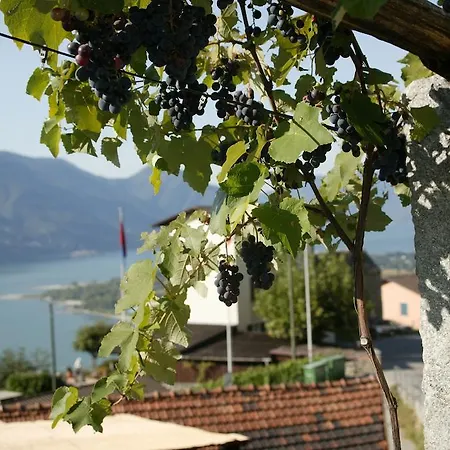 Garten Dellavalle Hotel